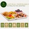 Natural 5 Compartment Compostable Disposable Paper Plate (125 Trays)
